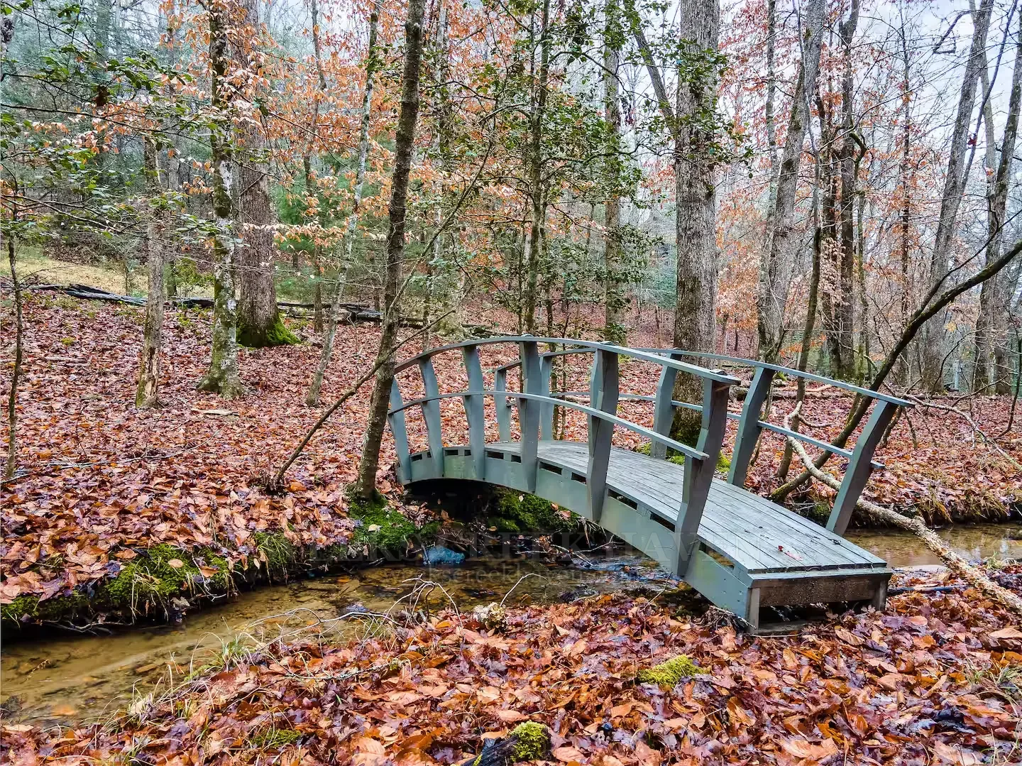 Weeks Creek Haven beside the creek in Blue Ridge, Georgia