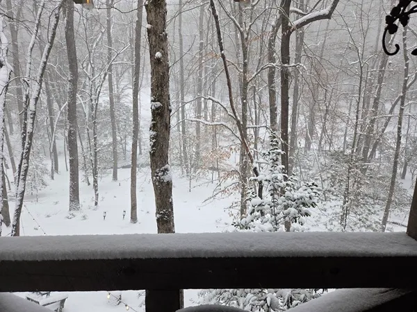 Snow view