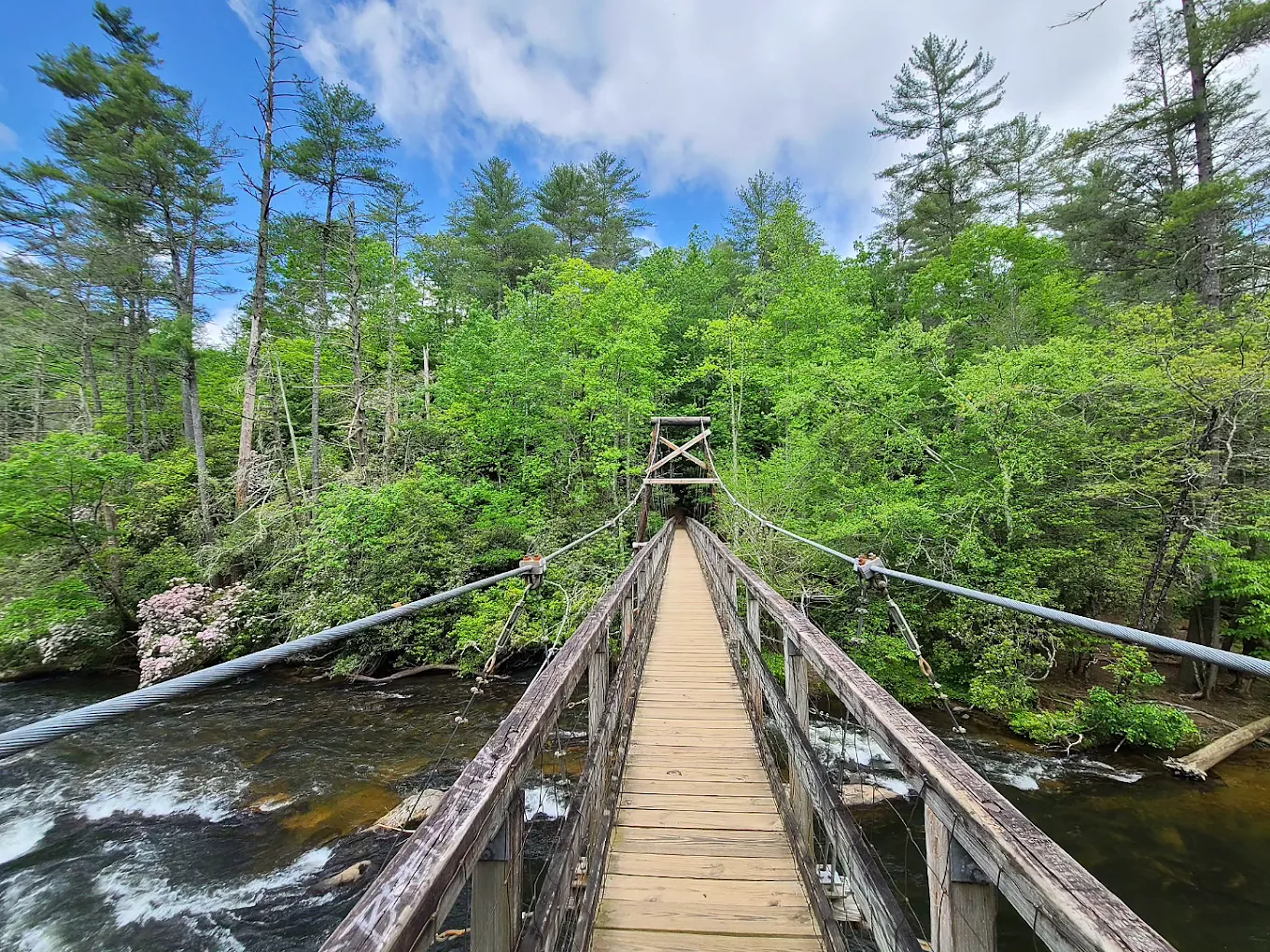 Suspension bridge over the Toccoa River in the Aska Adventure Area